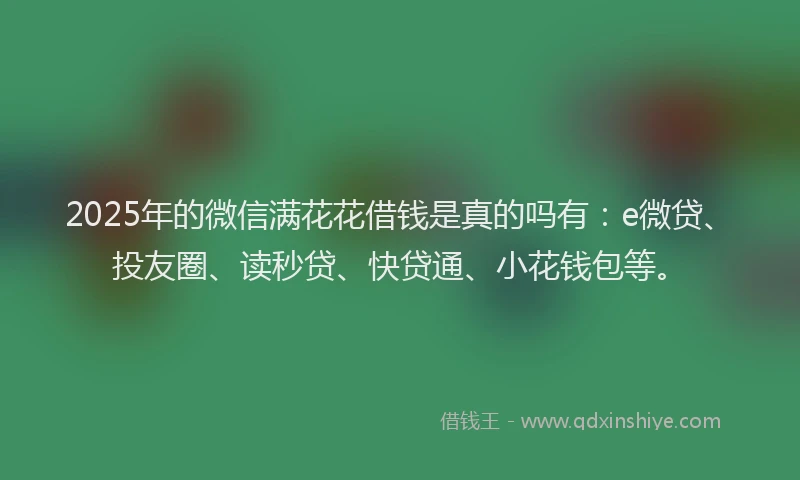 2025年的微信满花花借钱是真的吗有：e微贷、投友圈、读秒贷、快贷通、小花钱包等。
