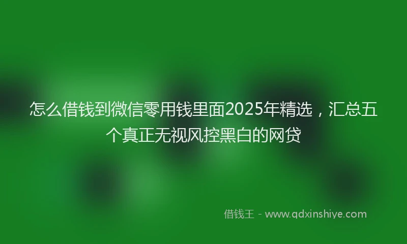 怎么借钱到微信零用钱里面2025年精选，汇总五个真正无视风控黑白的网贷