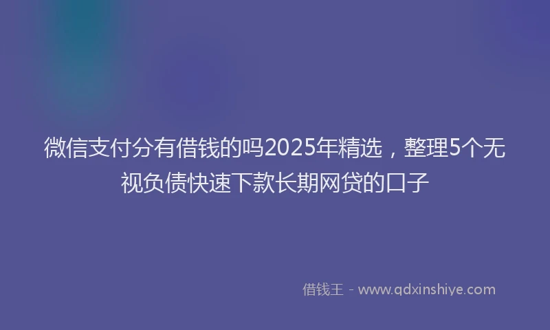 微信支付分有借钱的吗2025年精选，整理5个无视负债快速下款长期网贷的口子
