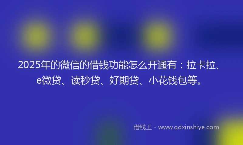 2025年的微信的借钱功能怎么开通有：拉卡拉、e微贷、读秒贷、好期贷、小花钱包等。