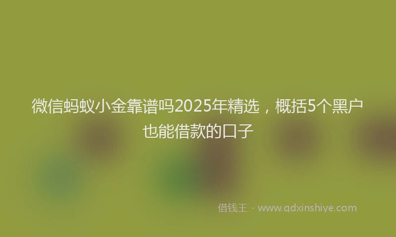 微信蚂蚁小金靠谱吗2025年精选，概括5个黑户也能借款的口子