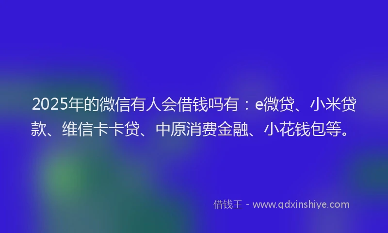 2025年的微信有人会借钱吗有：e微贷、小米贷款、维信卡卡贷、中原消费金融、小花钱包等。