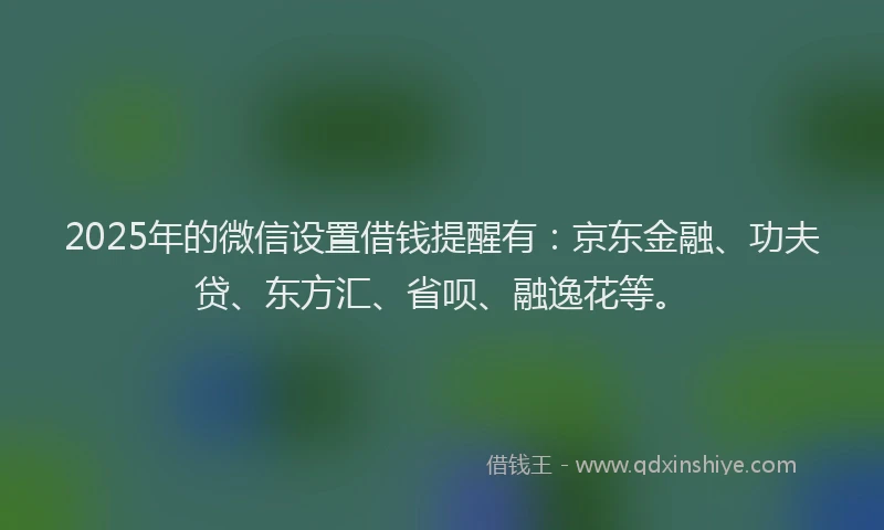 2025年的微信设置借钱提醒有：京东金融、功夫贷、东方汇、省呗、融逸花等。