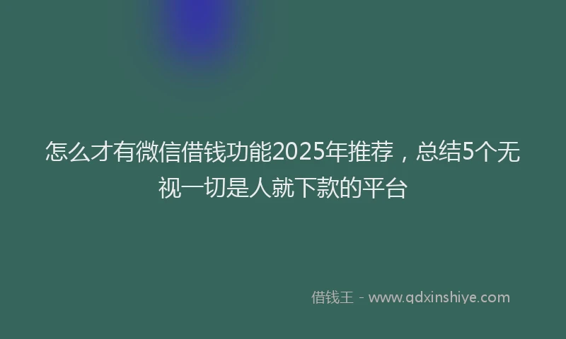 怎么才有微信借钱功能2025年推荐，总结5个无视一切是人就下款的平台