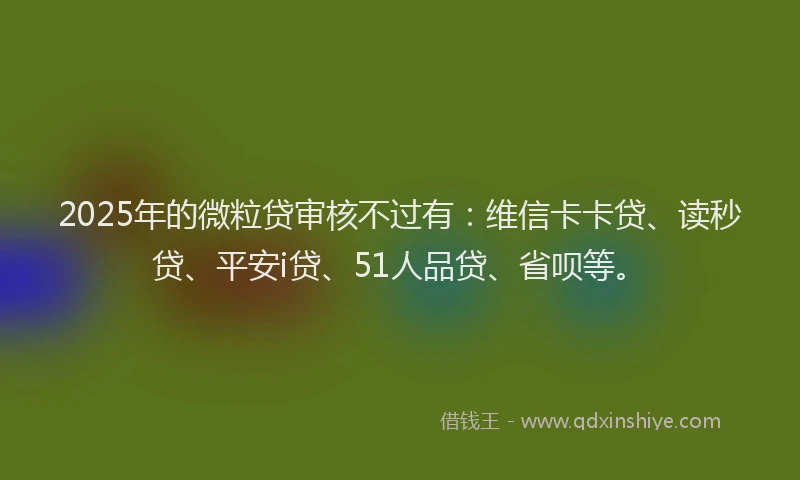 2025年的微粒贷审核不过有：维信卡卡贷、读秒贷、平安i贷、51人品贷、省呗等。