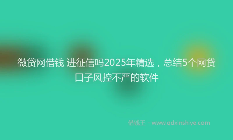 微贷网借钱 进征信吗2025年精选，总结5个网贷口子风控不严的软件