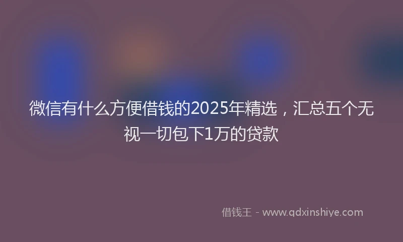 微信有什么方便借钱的2025年精选，汇总五个无视一切包下1万的贷款