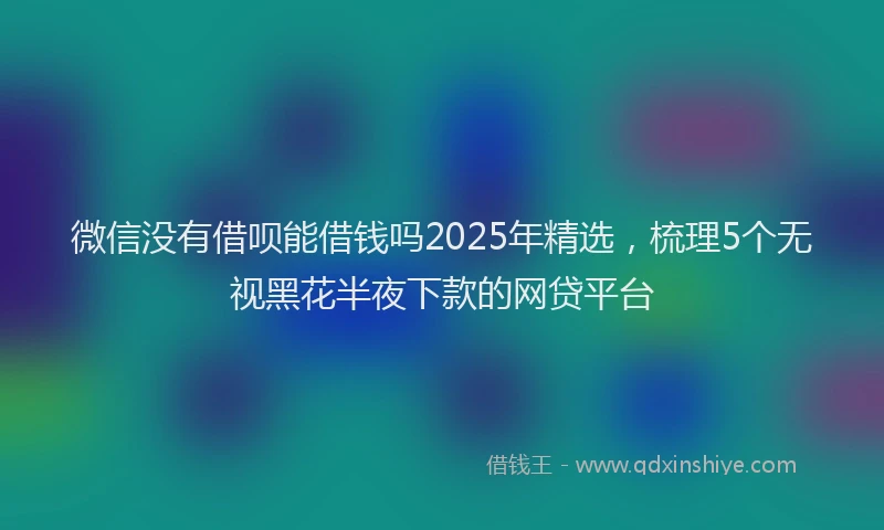 微信没有借呗能借钱吗2025年精选，梳理5个无视黑花半夜下款的网贷平台