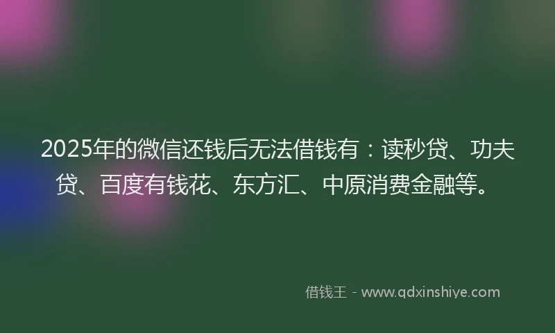 2025年的微信还钱后无法借钱有：读秒贷、功夫贷、百度有钱花、东方汇、中原消费金融等。