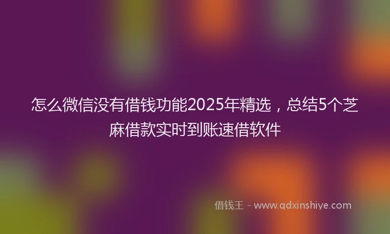 怎么微信没有借钱功能2025年精选，总结5个芝麻借款实时到账速借软件