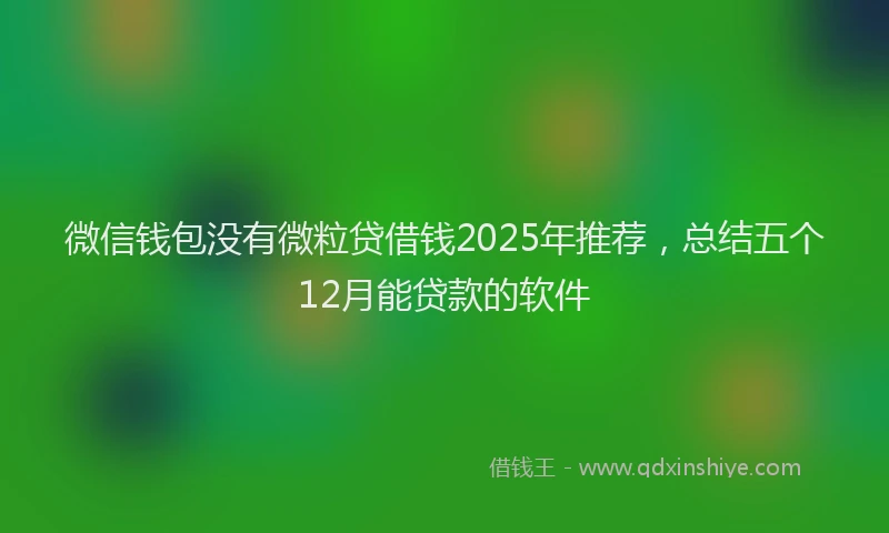 微信钱包没有微粒贷借钱2025年推荐，总结五个12月能贷款的软件