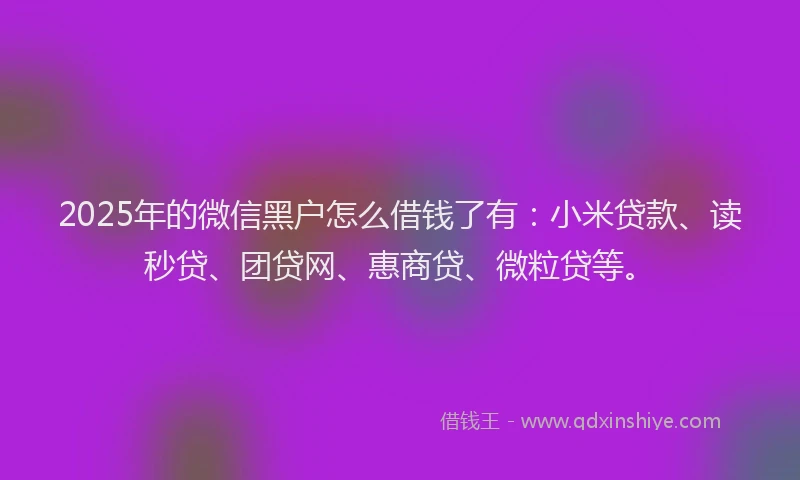 2025年的微信黑户怎么借钱了有：小米贷款、读秒贷、团贷网、惠商贷、微粒贷等。
