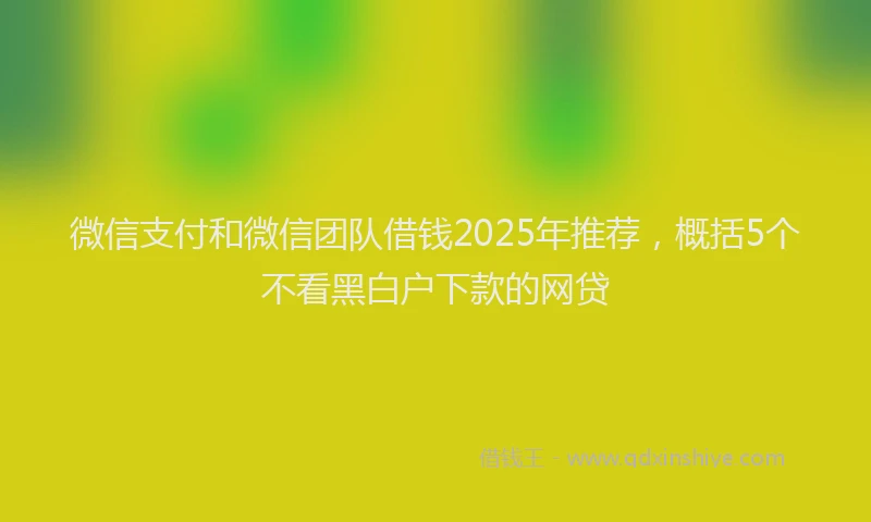 微信支付和微信团队借钱2025年推荐，概括5个不看黑白户下款的网贷