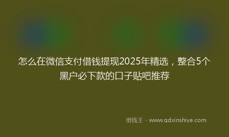 怎么在微信支付借钱提现2025年精选，整合5个黑户必下款的口子贴吧推荐