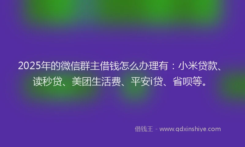 2025年的微信群主借钱怎么办理有：小米贷款、读秒贷、美团生活费、平安i贷、省呗等。