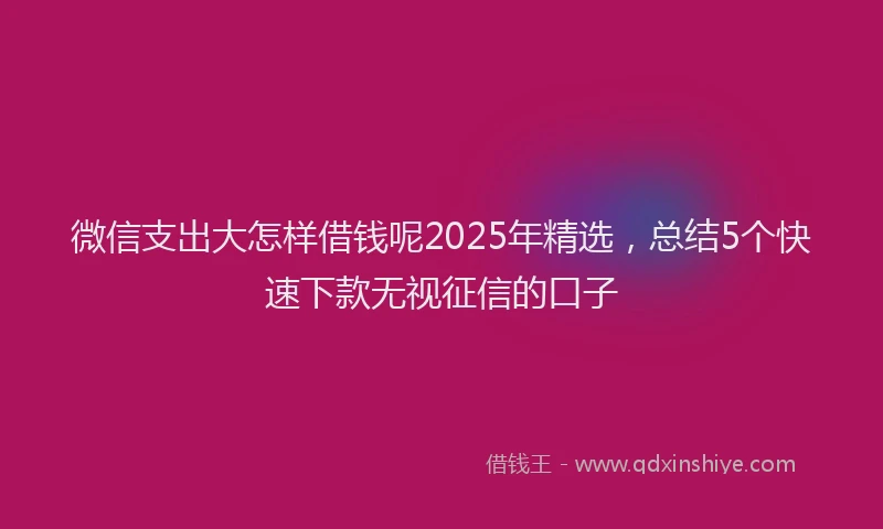 微信支出大怎样借钱呢2025年精选，总结5个快速下款无视征信的口子