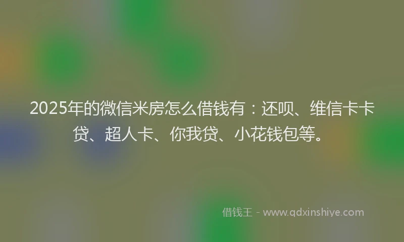 2025年的微信米房怎么借钱有：还呗、维信卡卡贷、超人卡、你我贷、小花钱包等。
