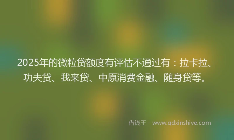 2025年的微粒贷额度有评估不通过有：拉卡拉、功夫贷、我来贷、中原消费金融、随身贷等。