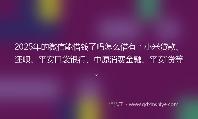 2025年的微信能借钱了吗怎么借有：小米贷款、还呗、平安口袋银行、中原消费金融、平安i贷等。