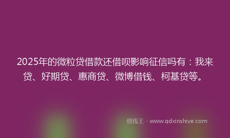 2025年的微粒贷借款还借呗影响征信吗有：我来贷、好期贷、惠商贷、微博借钱、柯基贷等。