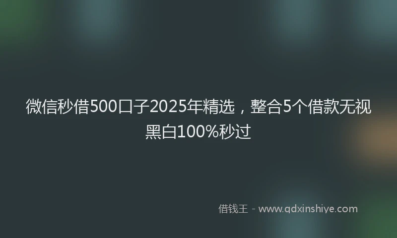 微信秒借500口子2025年精选，整合5个借款无视黑白100%秒过