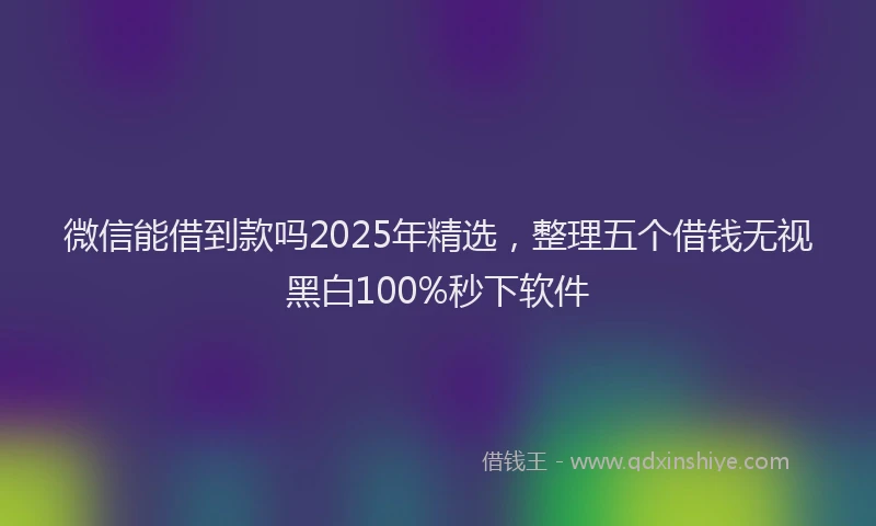 微信能借到款吗2025年精选，整理五个借钱无视黑白100%秒下软件