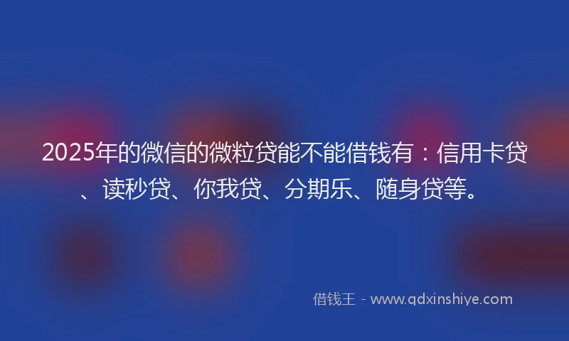 2025年的微信的微粒贷能不能借钱有:信用卡贷、读秒贷、你我贷、分期乐、随身贷等。