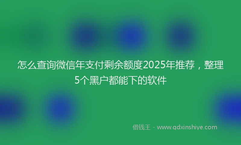 怎么查询微信年支付剩余额度2025年推荐，整理5个黑户都能下的软件