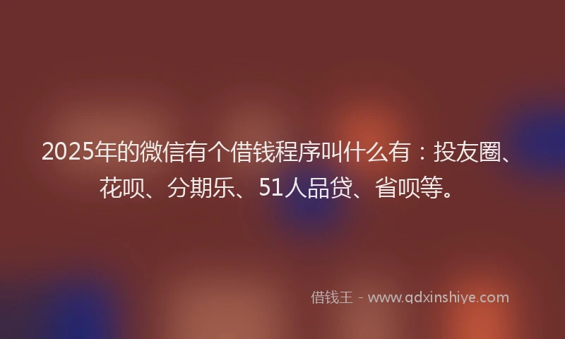 2025年的微信有个借钱程序叫什么有：投友圈、花呗、分期乐、51人品贷、省呗等。