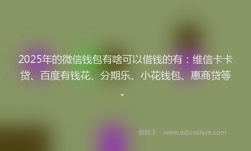 2025年的微信钱包有啥可以借钱的有：维信卡卡贷、百度有钱花、分期乐、小花钱包、惠商贷等。