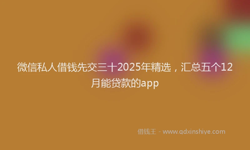 微信私人借钱先交三十2025年精选，汇总五个12月能贷款的app