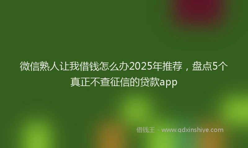 微信熟人让我借钱怎么办2025年推荐，盘点5个真正不查征信的贷款app