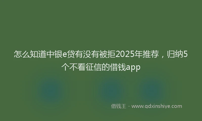怎么知道中银e贷有没有被拒2025年推荐，归纳5个不看征信的借钱app
