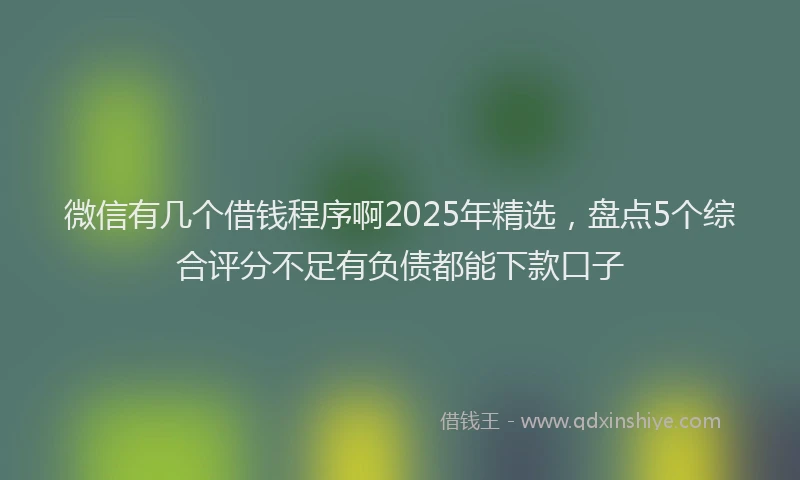 微信有几个借钱程序啊2025年精选，盘点5个综合评分不足有负债都能下款口子