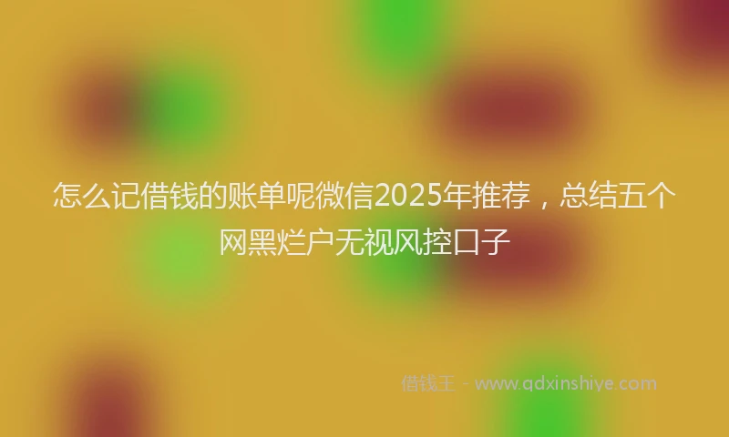 怎么记借钱的账单呢微信2025年推荐，总结五个网黑烂户无视风控口子