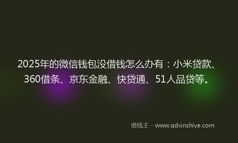 2025年的微信钱包没借钱怎么办有：小米贷款、360借条、京东金融、快贷通、51人品贷等。