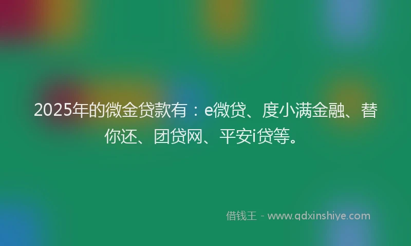 2025年的微金贷款有：e微贷、度小满金融、替你还、团贷网、平安i贷等。