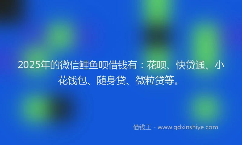 2025年的微信鲤鱼呗借钱有：花呗、快贷通、小花钱包、随身贷、微粒贷等。