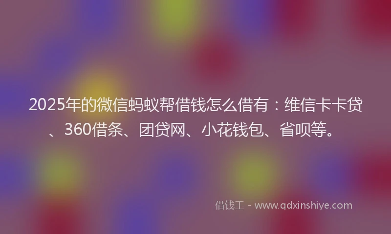 2025年的微信蚂蚁帮借钱怎么借有：维信卡卡贷、360借条、团贷网、小花钱包、省呗等。