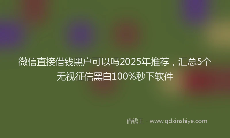 微信直接借钱黑户可以吗2025年推荐，汇总5个无视征信黑白100%秒下软件