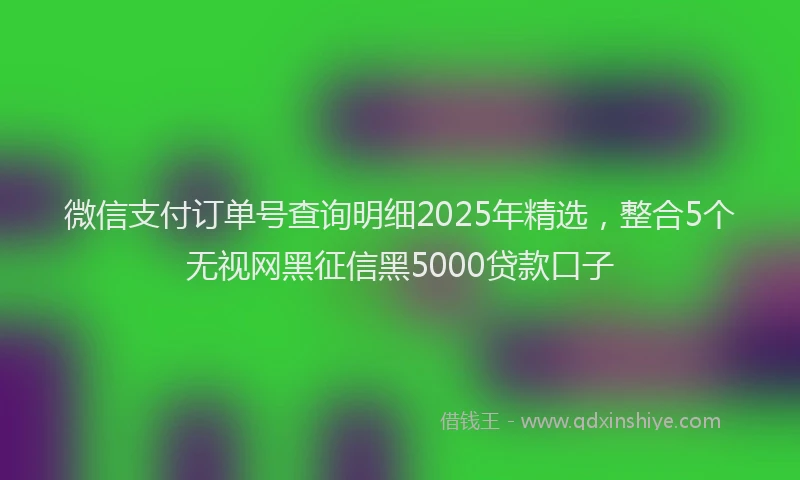 微信支付订单号查询明细2025年精选，整合5个无视网黑征信黑5000贷款口子