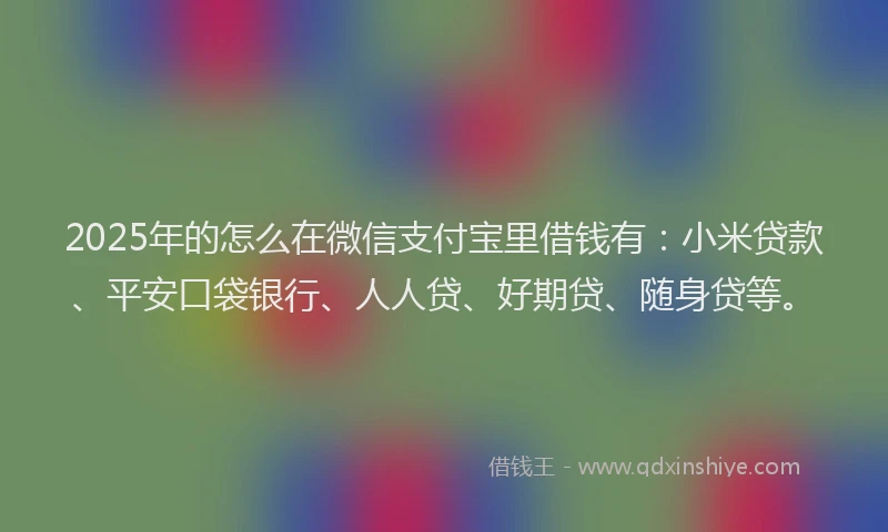 2025年的怎么在微信支付宝里借钱有：小米贷款、平安口袋银行、人人贷、好期贷、随身贷等。