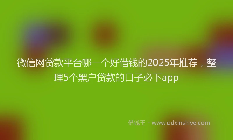 微信网贷款平台哪一个好借钱的2025年推荐，整理5个黑户贷款的口子必下app