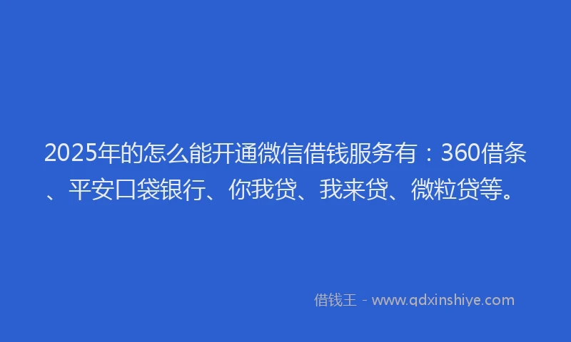 2025年的怎么能开通微信借钱服务有：360借条、平安口袋银行、你我贷、我来贷、微粒贷等。
