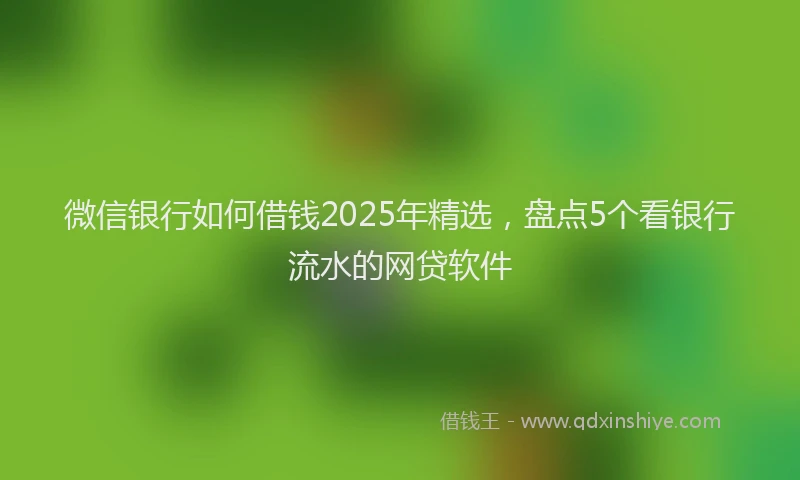微信银行如何借钱2025年精选，盘点5个看银行流水的网贷软件
