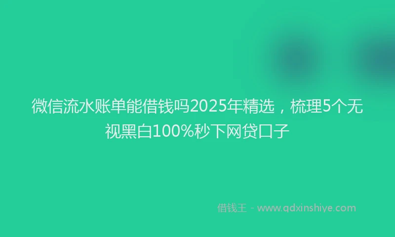 微信流水账单能借钱吗2025年精选，梳理5个无视黑白100%秒下网贷口子