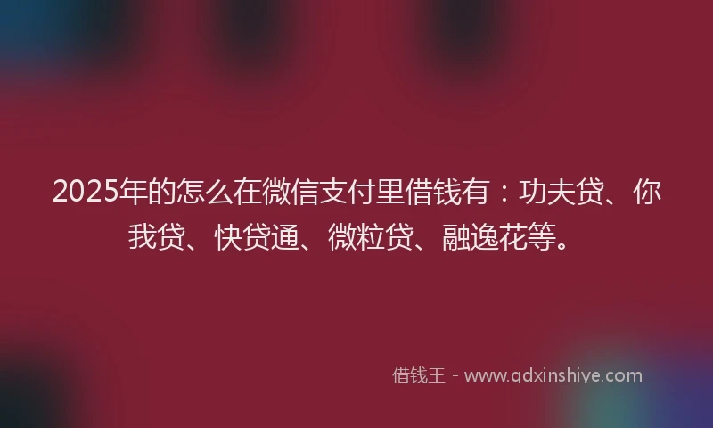 2025年的怎么在微信支付里借钱有：功夫贷、你我贷、快贷通、微粒贷、融逸花等。