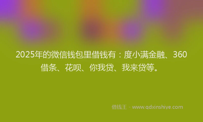 2025年的微信钱包里借钱有：度小满金融、360借条、花呗、你我贷、我来贷等。