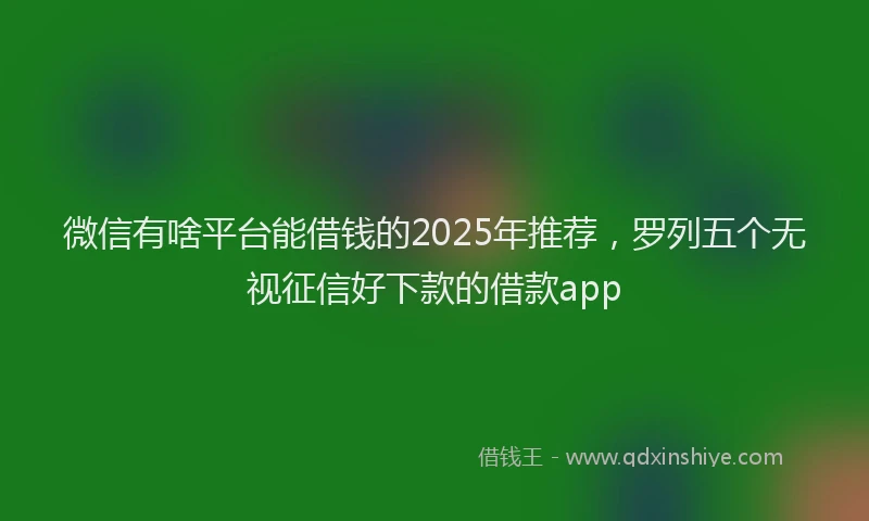 微信有啥平台能借钱的2025年推荐，罗列五个无视征信好下款的借款app