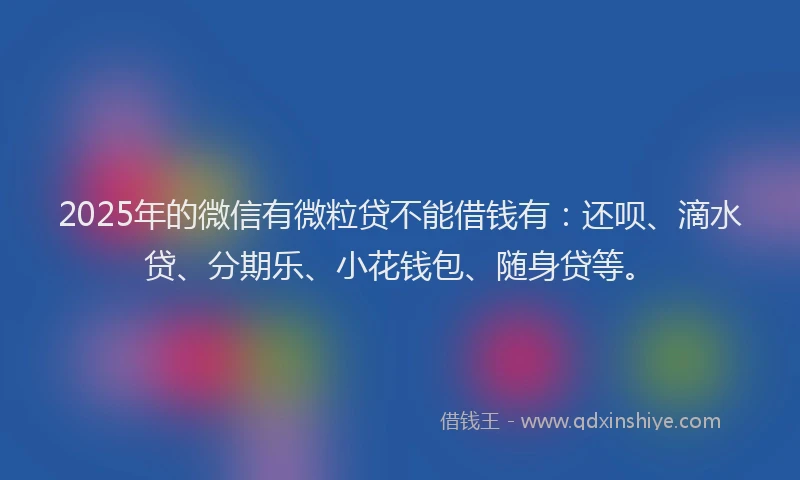 2025年的微信有微粒贷不能借钱有：还呗、滴水贷、分期乐、小花钱包、随身贷等。